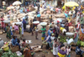 CIB is looking for interesting LED practices to be shared during webinar!