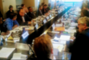 UCLG Champion Vrbanovic joins 13th SC meeting of GPEDC