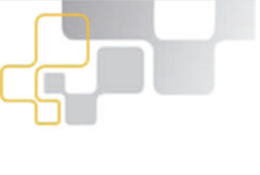 CIB newsletter July 2017