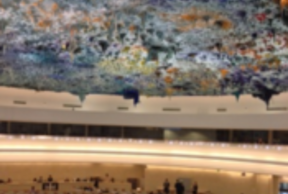 Gobiernos locales y comisión de derechos humanos de la ONU