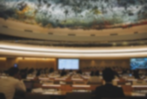 Local Governments and Human Rights: Invitation to a dialogue with the United Nations and contribution of the Committee to the UCLG World Congress