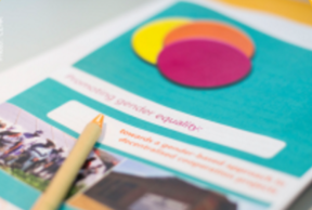 Coopération décentralisée 