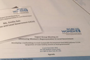 Local data essential to gender equality