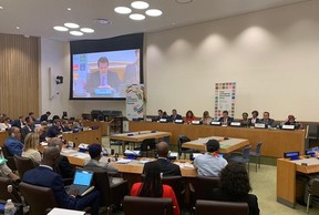 President UCLG-Eurasia took the floor at the UNGA 