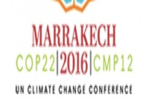COP 22