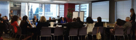 Summary of the CIB Working Group meeting 2013