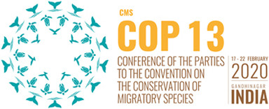 COP13