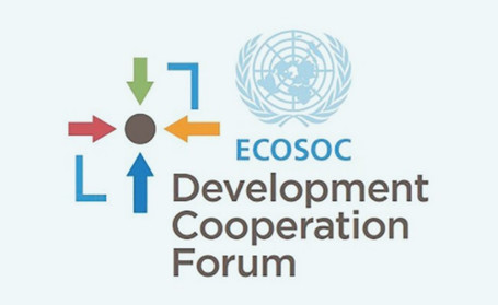 Development Cooperation Forum