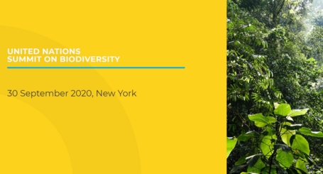 United Nations Summit on Biodiversity 2020