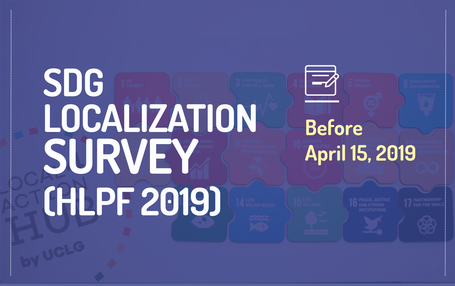 An online survey to report on SDG localization at local and regional levels