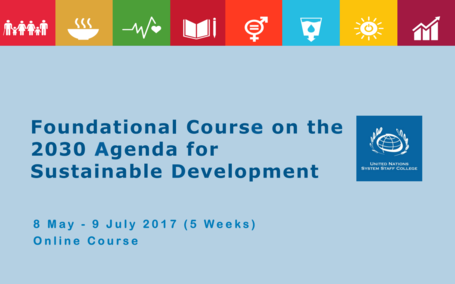 online webinar sdg localization