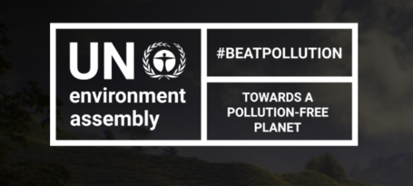 UN Environment Assembly (UNEA)