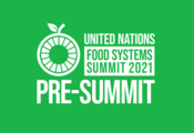 Le droit à l'alimentation dans les villes et les régions lors du pré-sommet des Nations unies sur les systèmes alimentaires