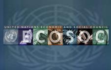 Local and regional governments at the UN Development Cooperation Forum