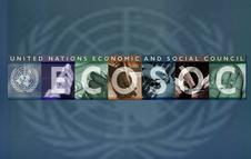 CGLU en el Foro sobre Cooperación para el Desarrollo de la ONU (UN-DCF)